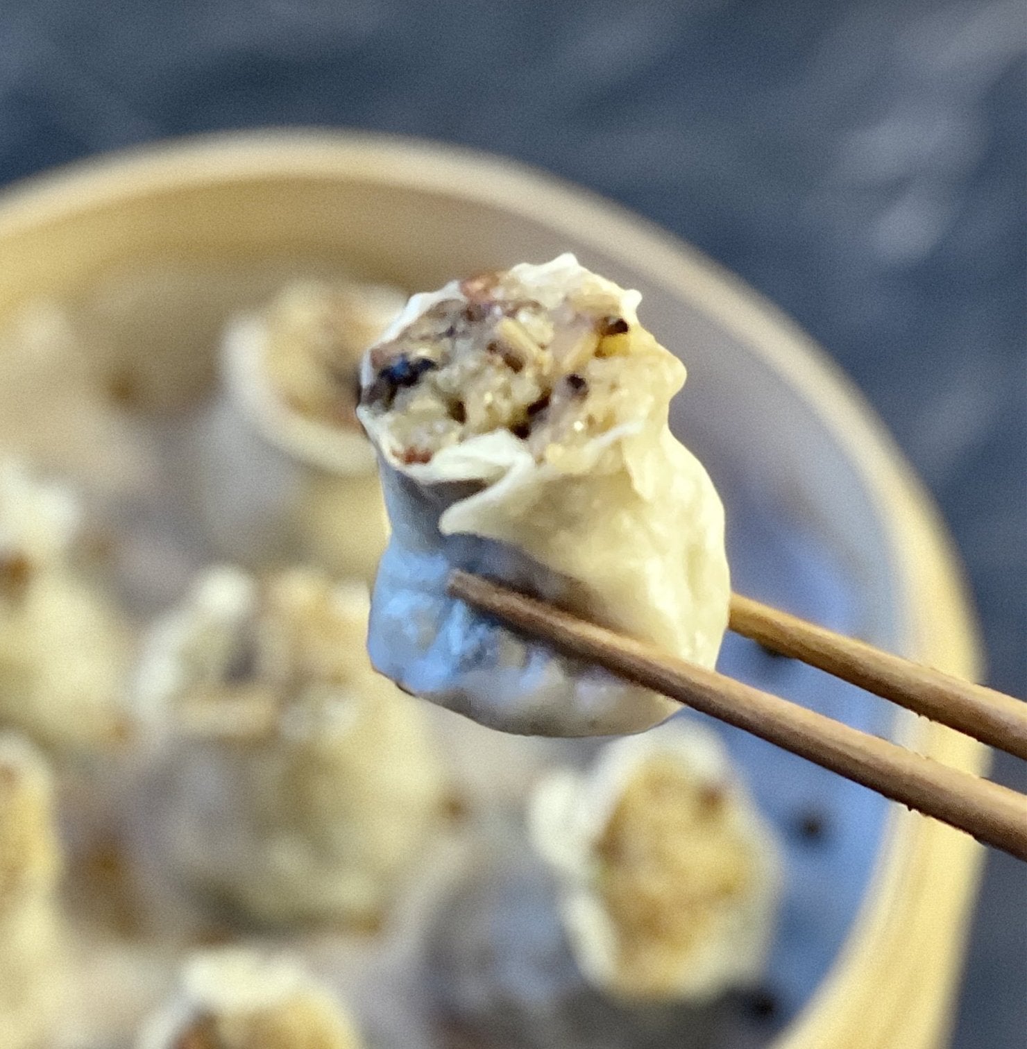 Shanghai Shumai (Sticky Rice) - Yummi Dumplings