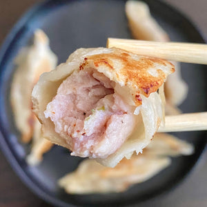 Pan Fried Potsticker (Pork) - Yummi Dumplings